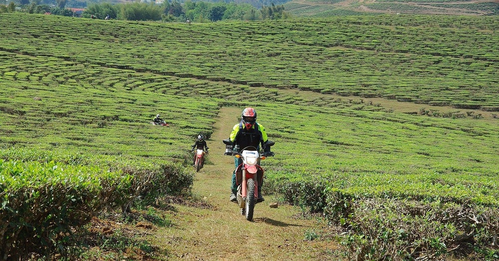 https://toursvietnamontrails.com/wp-content/uploads/2017/07/motorbike-tour-northern-vietnam-8.jpg