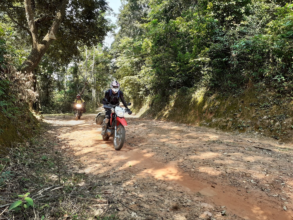 https://toursvietnamontrails.com/wp-content/uploads/2017/07/motorbike-tour-vietnam-14.jpg